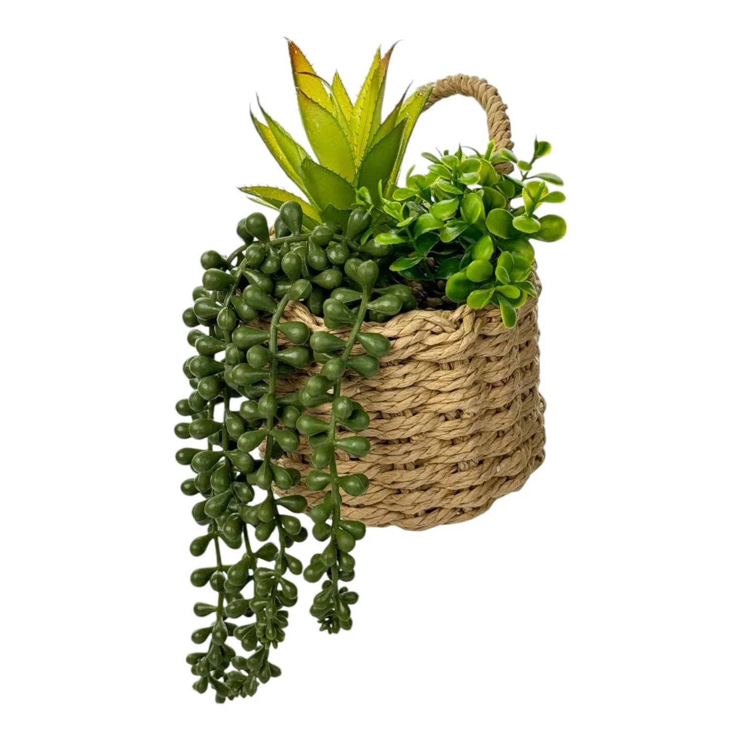 Planta Art 12X18 Colgante F251 - Image 2