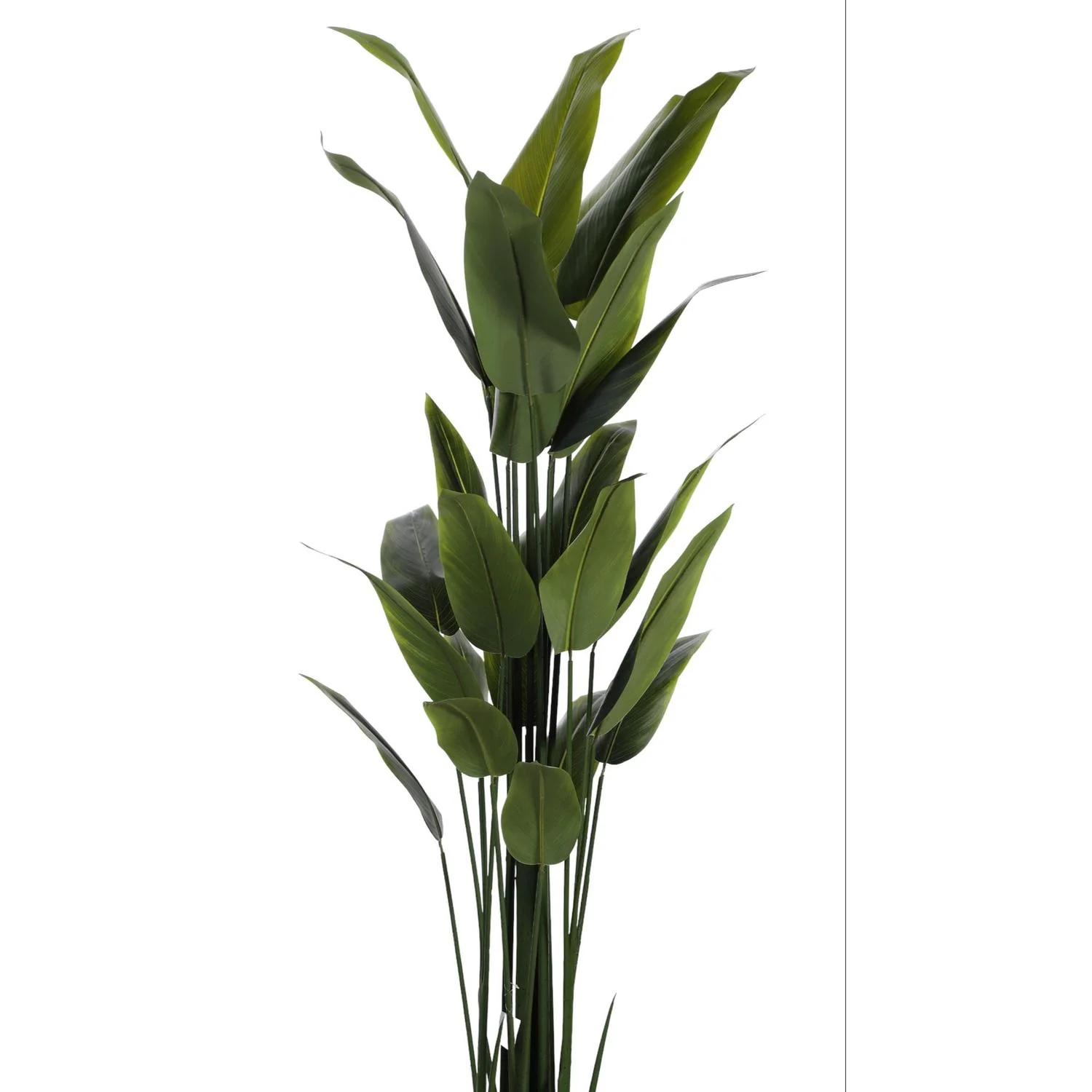 Planta Artificial 180Cm Verde Aspidistra F243