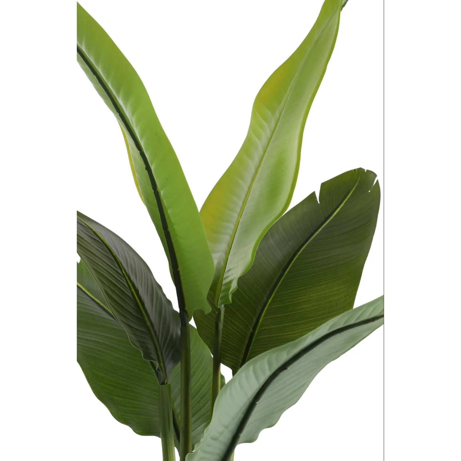 Planta Artificial 50X40X90 Verde Musa F243 - Image 3